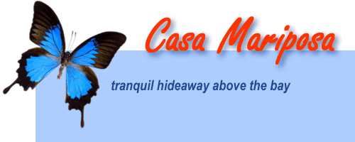 Casa Maraposa | Tranquil hideaway above the bay, Yelapa Mexico